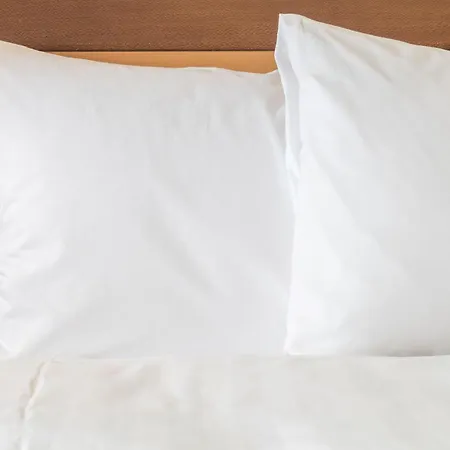 Express Centre By Ihg Hotel 3*